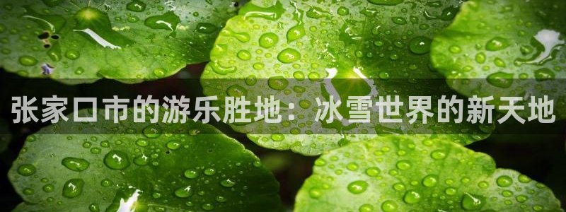 首页华润娱乐