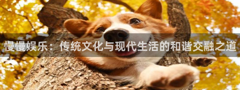 首页华润娱乐