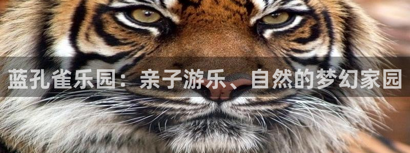 首页华润娱乐